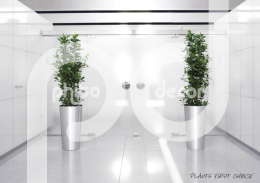 Primus Aluminium Ficus moclame