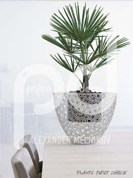 Wire Round Chrome Trachycarpus fortunei