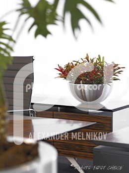 Parel Aluminium Bowl Nidularium ‘Fireball’