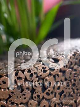 Croco Design 