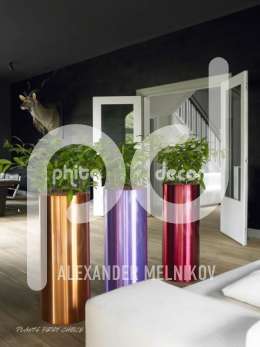 Parel Zuil Aluminium Dracaena surculosa