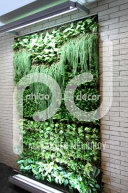 Вертикальное озеленение стен тропическими растениями